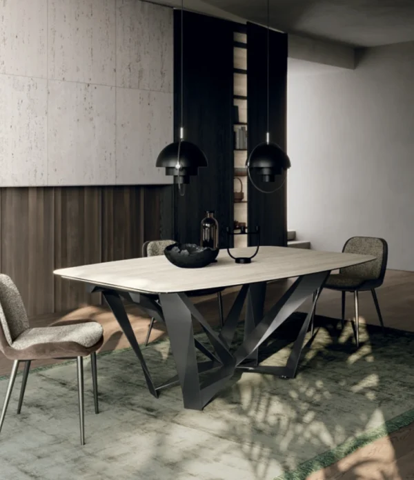 Papillon - Image 4
